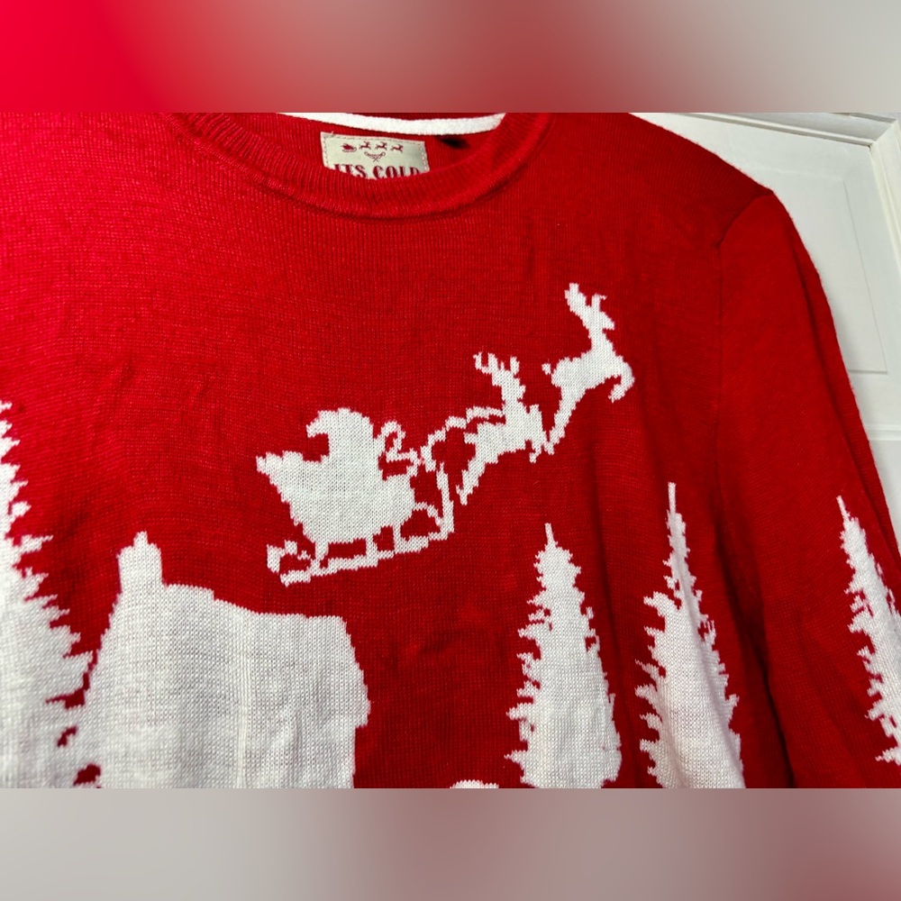 Threadbare Size Medium Red Christmas Sweater Sant… - image 2